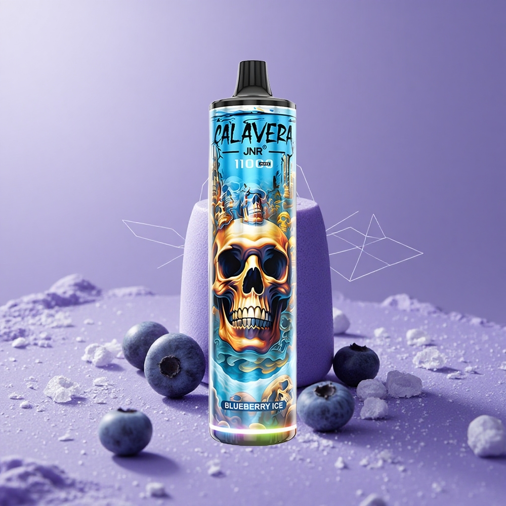 JNR Calavera 11000 Puffs Vape Desechable Arándano Helado Puerto Type-C Capacidad 21ml