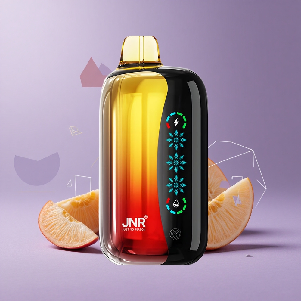 JNR Flex Ice 21000 Puffs Melocotón Mango Piña Pantalla Táctil