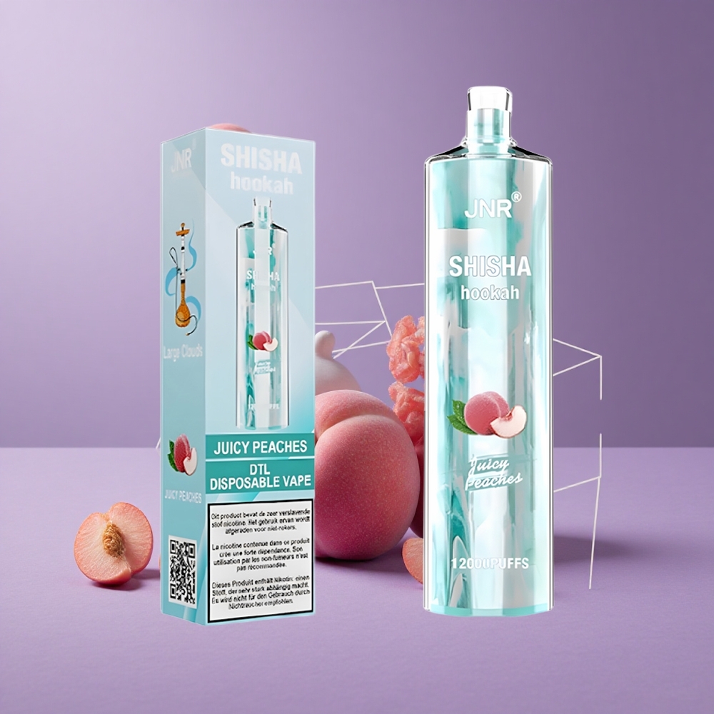 JNR Shisha Hookah 12000 Puffs Durazno Jugoso con 24ml de E-líquido y 750mAh