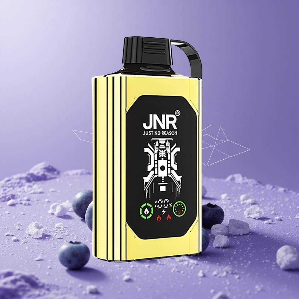 JNR Shisha Hookah Box 20500 Puffs Pantalla HD Carga Rápida Type-C Arándano Helado